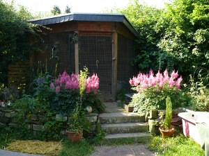file:///home/bigi/Desktop/cobaya/images/Internetbilder/Hasenstall.JPG