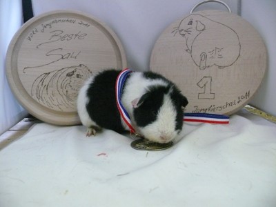 file:///home/bigi/Desktop/cobaya/images/Internetbilder/P1080459.JPG