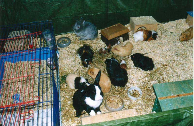 file:///home/bigi/Desktop/cobaya/images/Internetbilder/zzAlle.jpg